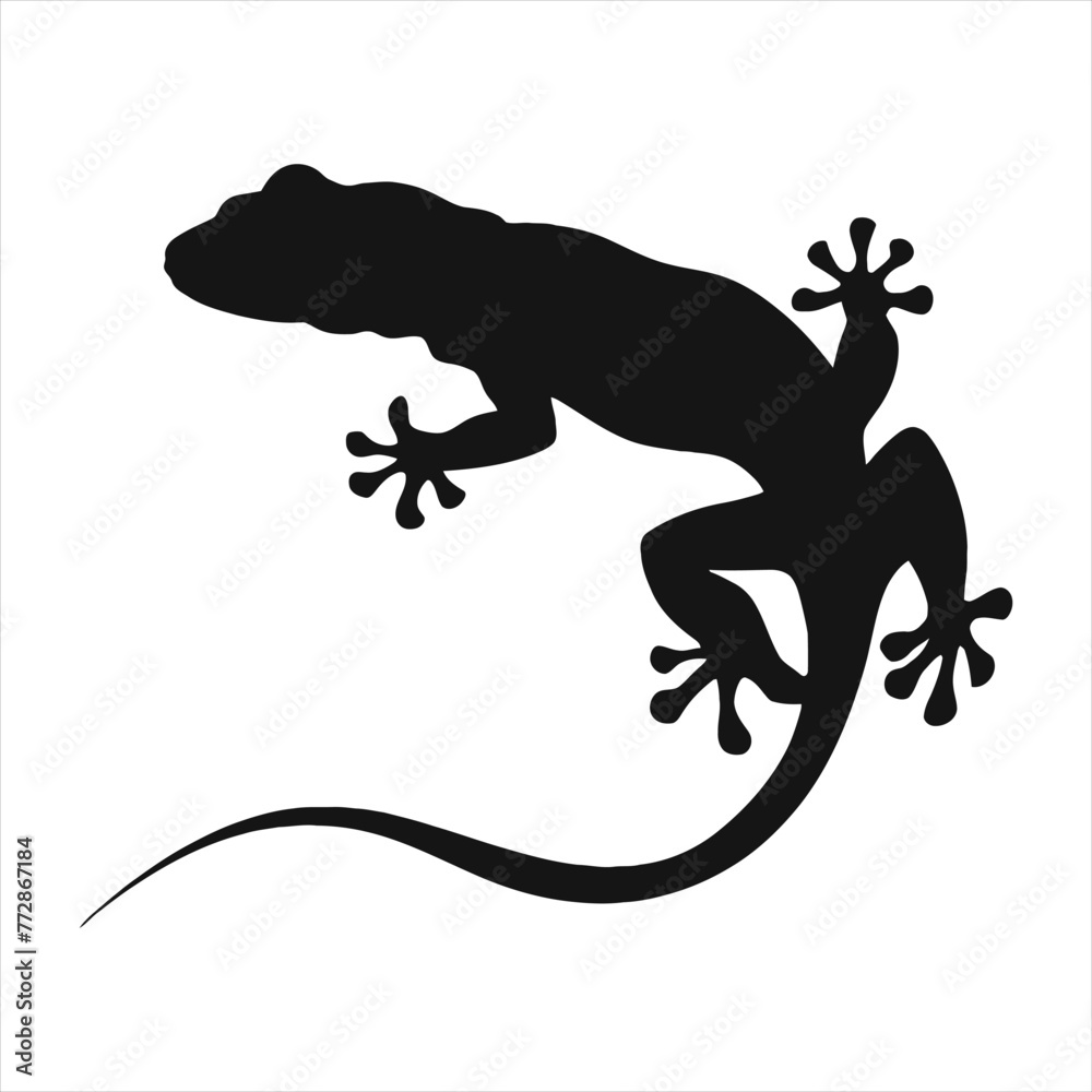 Obraz premium Leopard Gecko Silhouette