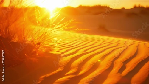 A magical scene of golden light and delicate dune formations backlit at sunset.