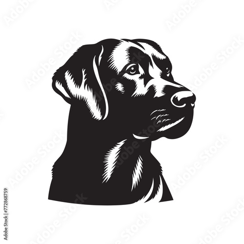 Labrador Retriever Silhouette: Loyal Canine Profile in Vector Art- Labrador Retriever black vector stock