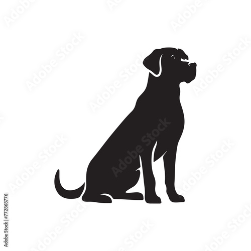 Labrador Retriever Silhouette: Loyal Canine Profile in Vector Art- Labrador Retriever black vector stock