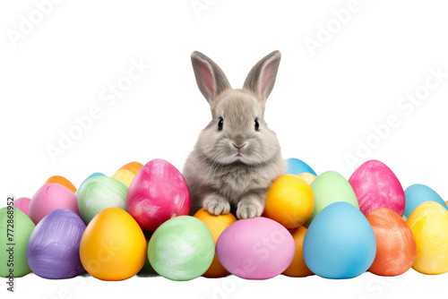 Rabbit Sitting In Front of Eggs. On a White or Clear Surface PNG Transparent Background.. © Usama