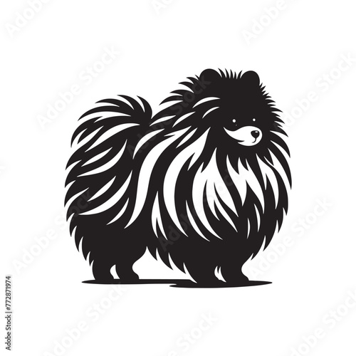 Pomeranian Dog Silhouette: Small Breed Profile Outline Art for Canine Lovers- Pomeranian black vector stock.
