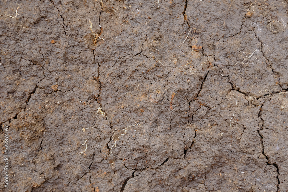 Cracked dry ground background