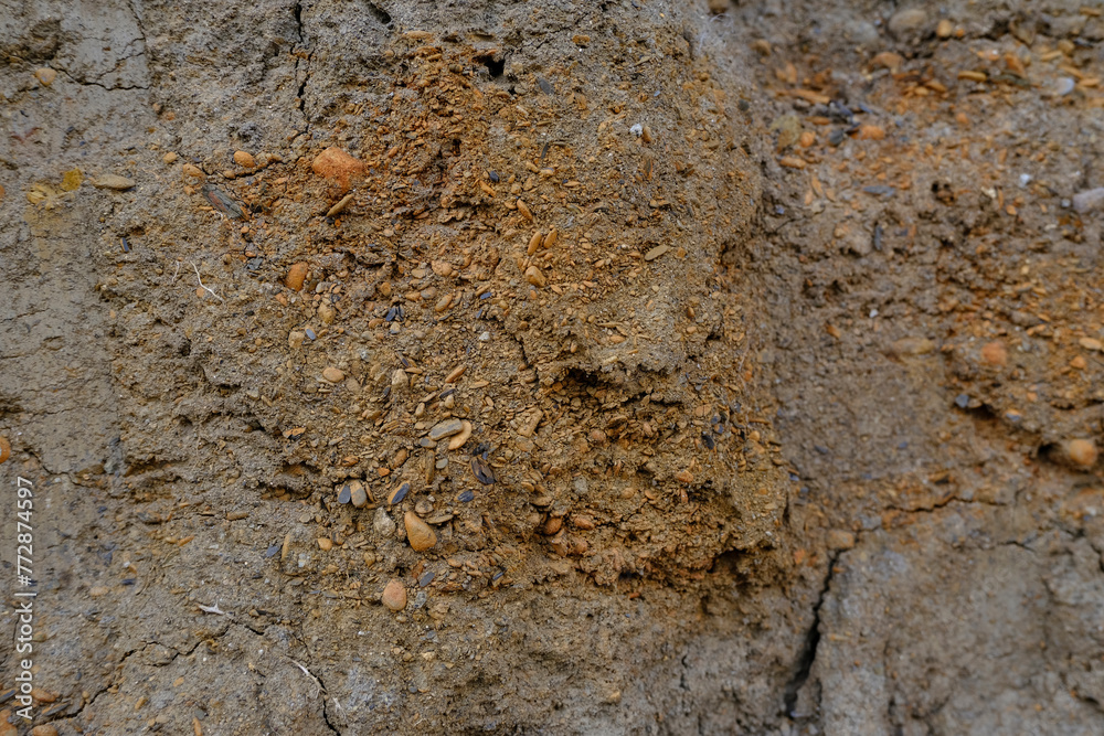 Naklejka premium Small stones stuck in the dry soil