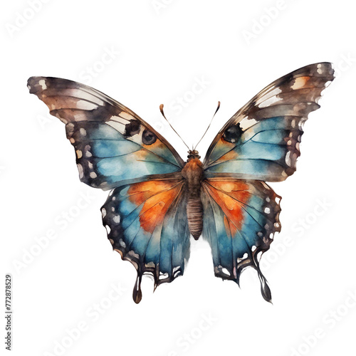 A single, vibrant butterfly with outstretched wings, captured in a detailed watercolor. White background.