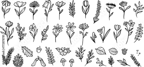 Plant illustration collection, hand drawn nature doodles, modern line art, clip art element set