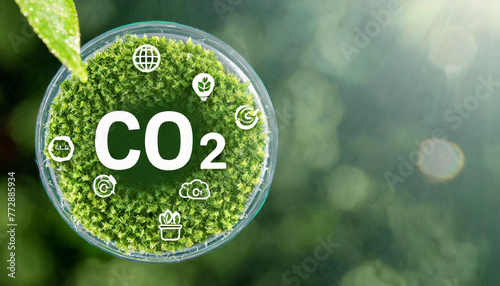 カーボンニュートラル　脱炭素　二酸化炭素　CO2　温室効果ガス　排出ゼロ　吸収　除去　差し引きゼロ　2050年　メタン　フロンガス　一酸化二窒素　N2O　森林　植物　環境破壊　オゾン層　地球環境 photo