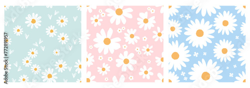 Seamless patterns with white daisy chamomile flower on green, pink and blue backgrounds vector. Cute floral print.