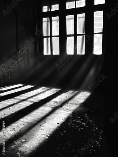 Light and Shadow