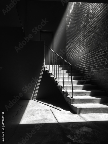 Light and Shadow