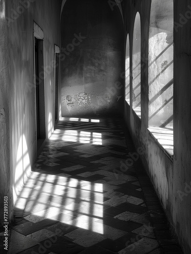 Light and Shadow