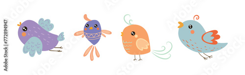 Cute Little Birdie with Colorful Feather Vector Set photo