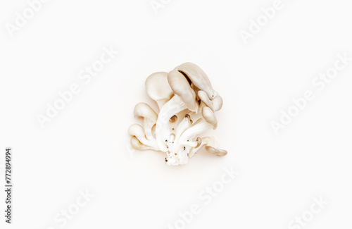 Fresh oyster mushrooms on light beige background, minimalism style, top view