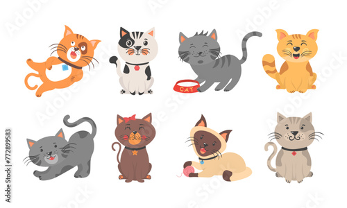 Fototapeta Naklejka Na Ścianę i Meble -  Cute kittens playing, stretching and sleeping. Different amusing pets isolated on white background. Cartoon cat characters collection. Flat color simple style design. Vector illustration