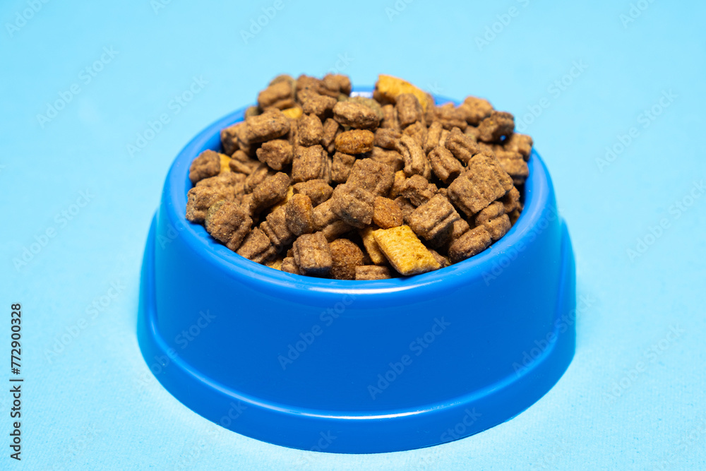 Dry cat food in a plate on a blue background, close-up. Complete Cat Nutrition Dry cat food in a plate on a blue background, close-up. Complete Cat Nutrition
