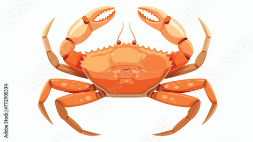 Crab icon. Cartoon illustration of crab vector icon f