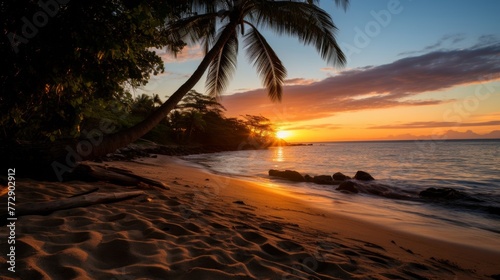 Tropical beach with vibrant sunset and light and shadows at dusk