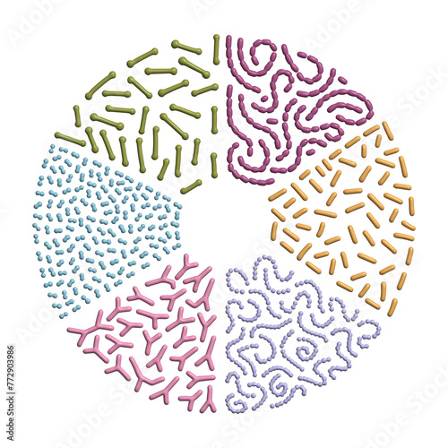 3d render Set of different types of good bacterias of human microbiome on circle shape background, Simple Volume illustration photo