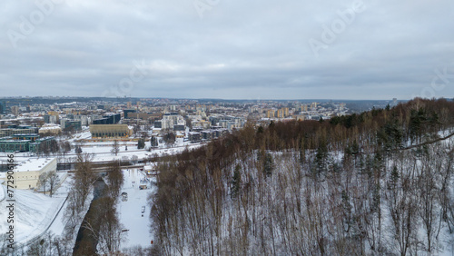 Drone photography of public park and cityscape in background during winter day