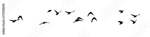 Flying birds silhouette flock. hand drawing. Not AI, Vector illustration photo