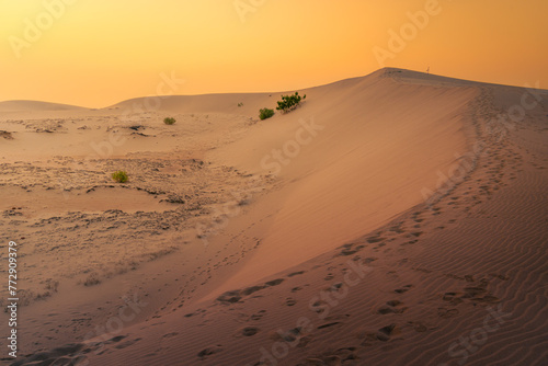 Fototapeta Naklejka Na Ścianę i Meble -  Aerial view of Nam Cuong sand dunes, Ninh Thuan province, Vietnam. It is one of the most beautiful places in Vietnam