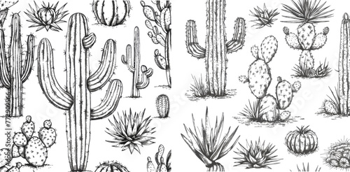 Desert or drought plants, botanical horizontal seamless pattern engraving vector illustration