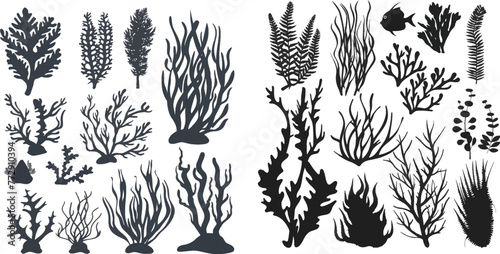 Underwater planting plant and seaweeds for aquariums decor