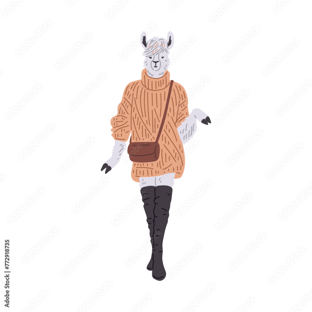 Fototapeta premium Chic alpaca in sweater and boots vector illustration