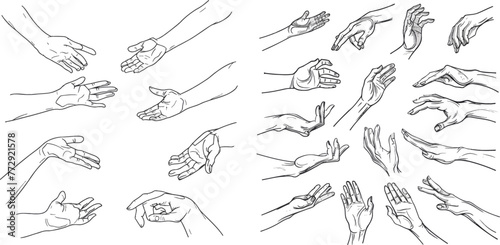 Outline elegant woman hand gestures