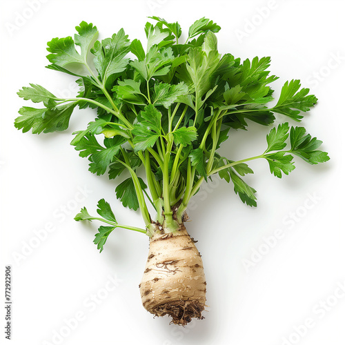 A celeriac or celery root stands alone against a clean white background, showcasing its unique texture and appearance
