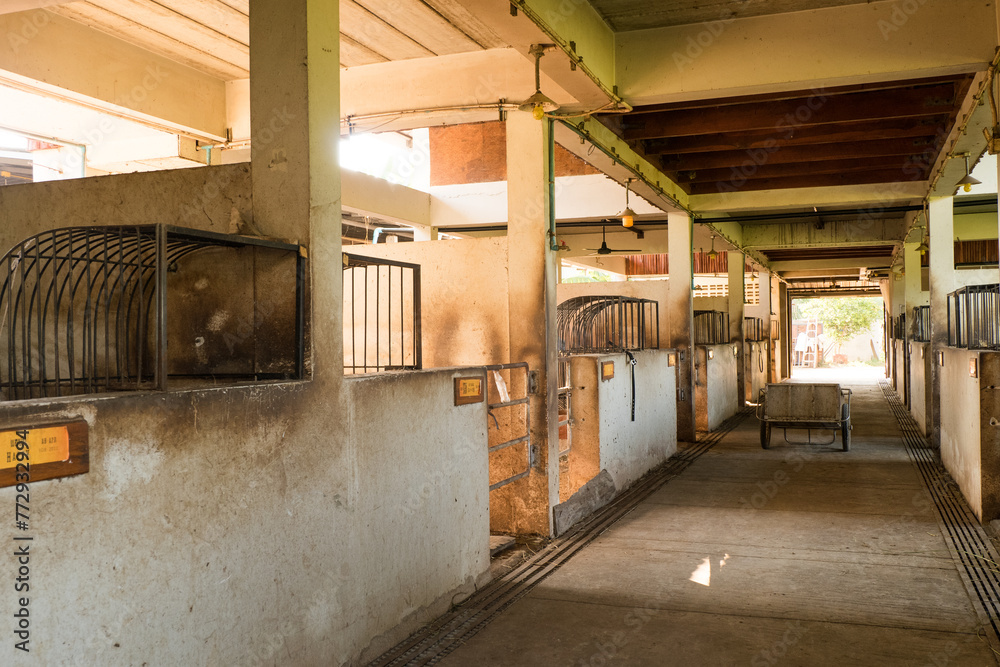 Empty horse stalls in old stable building at horse farm.