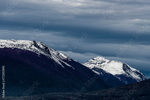 Sailing through the Beagle Channel, at the southern tip of South America, Argentina and Chile © Sebastian