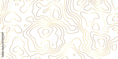 Golden lines abstract topology , topography abstract vector background illustration for print work