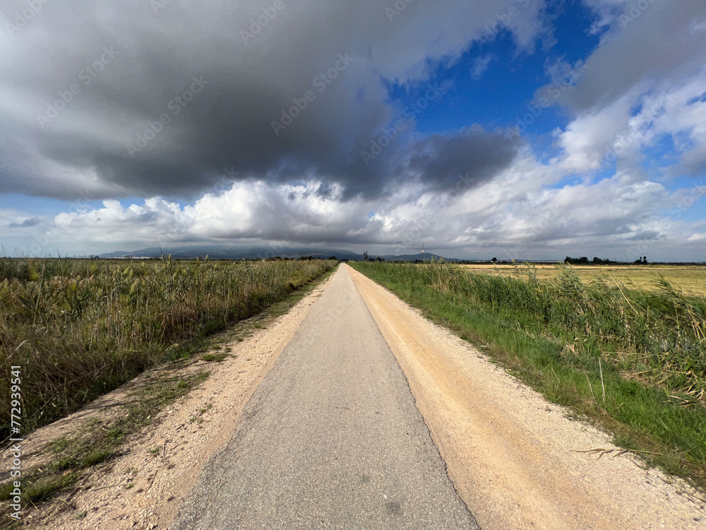 Road around Amposta