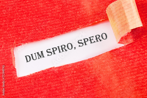 Dum Spiro Spero - latin phrase means While I Breath, I Hope. on a white background under torn paper photo