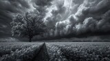 monochrome landscape with moody clouds and a lone tree, conveying a sense of solitude and contemplation