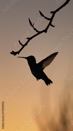 Silhouette of a hummingbird in flight at sunset