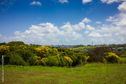 Landscape of an summer green field rolling down the hill toward a row of suburbian houses. Auckland CBD skyline visible on the horizon. Meadowbank, Auckland, New Zealand photo