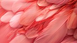 Close-up of pink feathers with soft texture