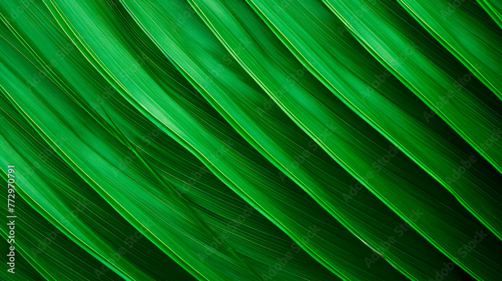 Close-up of a green leaf on a dark background Close-up of a green leaf on a dark background