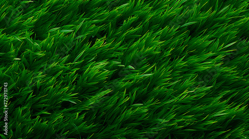 A green field featuring a white frisbee close-up