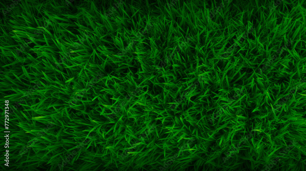 Green grass field close-up against black backdrop