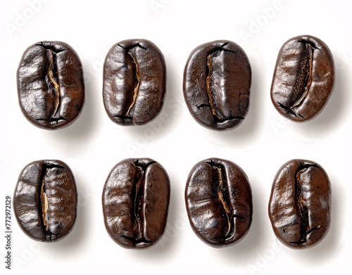 Coffee Bean Variety A Monthly Celebration of Diverse Coffee Beans Generative AI