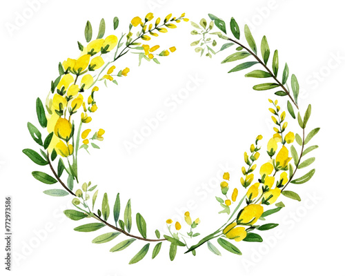 Acacia Geometric Frame , watercolor, Floral Frame, isolated white background