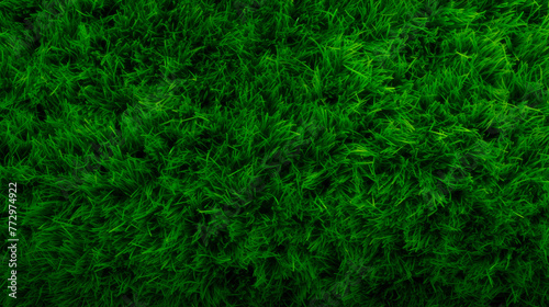 A close up of a green grass field with a white frisbee