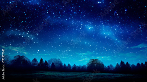 Starry night sky above a forest © StockKing