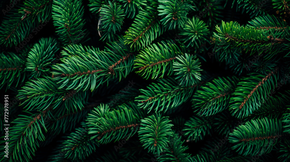 green fern background