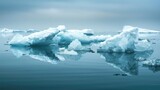 Serene icebergs and ice floes in calm water with a moody blue overcast.
