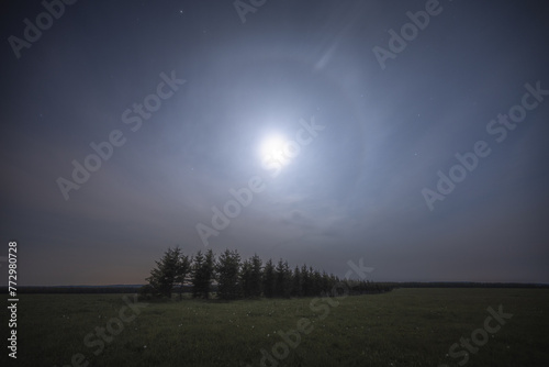 Moon halo above the trees