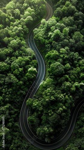 Aerial view of a winding road through a dense forest